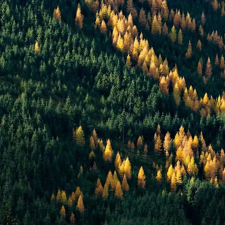 Jasna 3* Demänovská Dolina