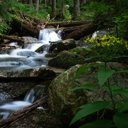 Jasna Demänovská Dolina