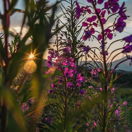Jasna Hotel Demänovská Dolina