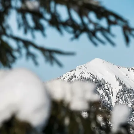 Jasna فندق ديمانوفْشكا دولِنا
