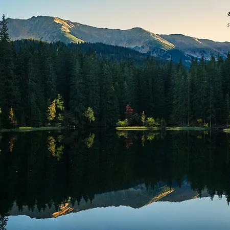 Jasna ديمانوفْشكا دولِنا